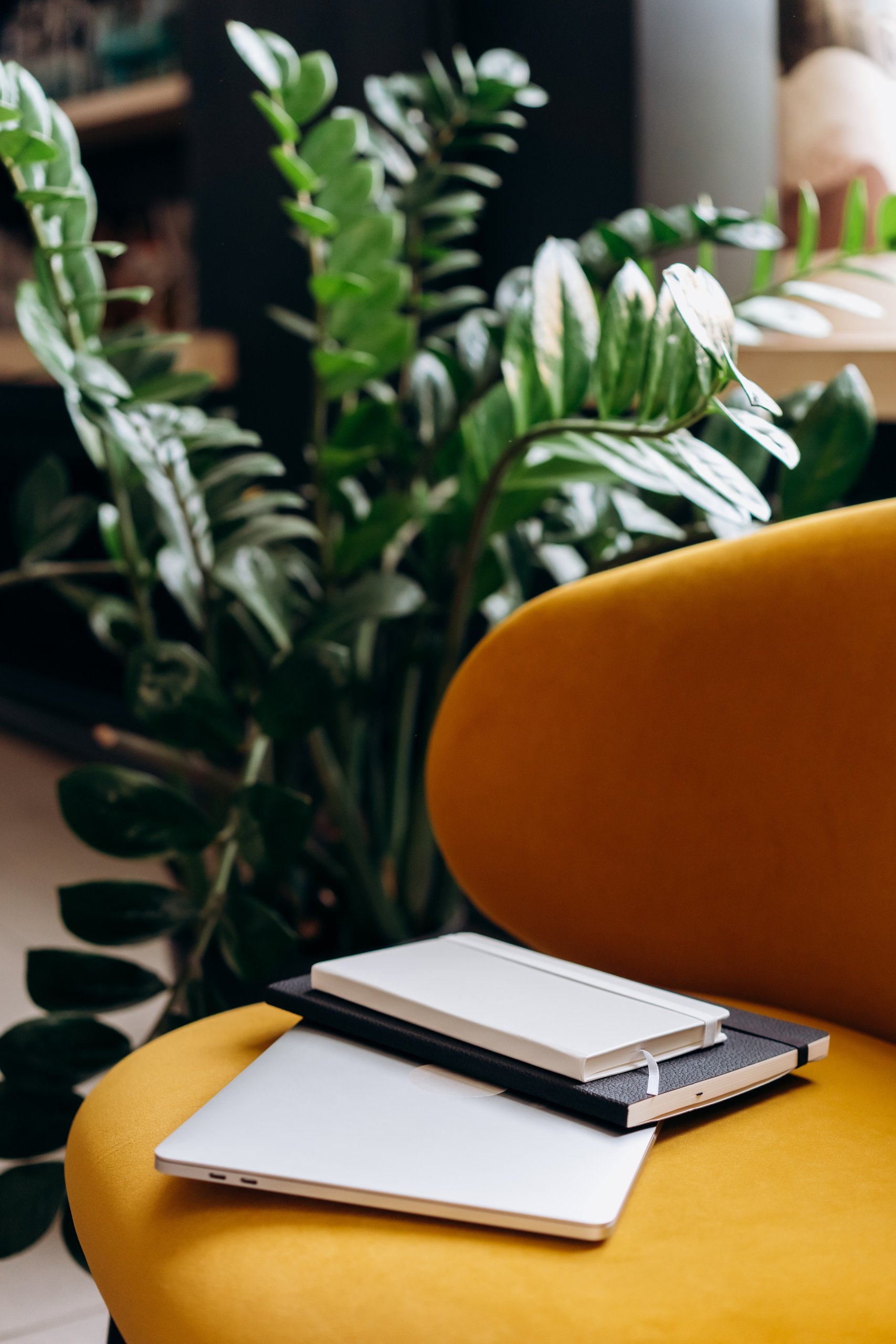 Therapy chair with notebooks and plant in the background in a calm C-PTSD therapist’s office in Guildford