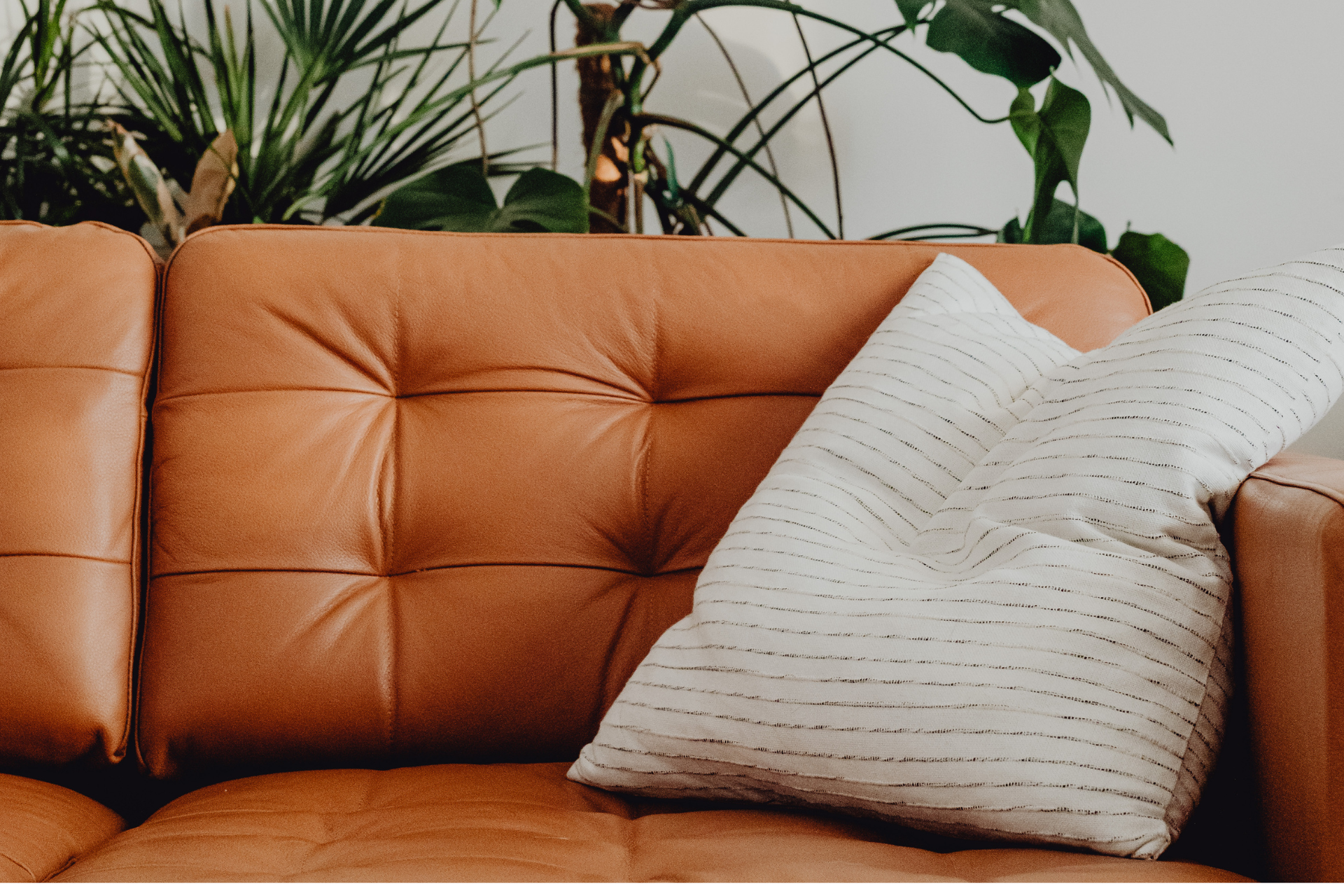 Orange leather sofa with striped cushion and house plants, representing a calm home environment for therapy for feeling lost